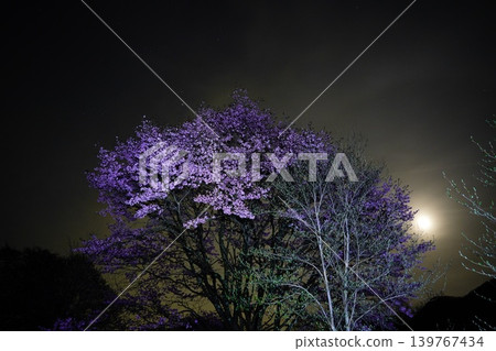The moon before dawn 139767434