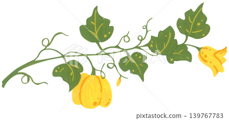 Pumpkin corner border hand drawn illustration, autumn thanksgiving frame with leaves vine botanical bloom, cozy harvest foliage decoration. Pumpkin corner border hand drawn illustration, autumn thanksgiving frame with leaves vine botanical bloom, cozy harvest foliage decoration. 139767783