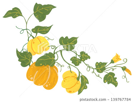 Pumpkin corner border hand drawn illustration, autumn thanksgiving frame with leaves vine botanical bloom, cozy harvest foliage decoration. Pumpkin corner border hand drawn illustration, autumn thanksgiving frame with leaves vine botanical bloom, cozy harvest foliage decoration. 139767784