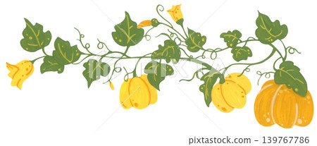 Pumpkin corner border hand drawn illustration, autumn thanksgiving frame with leaves vine botanical bloom, cozy harvest foliage decoration. Pumpkin corner border hand drawn illustration, autumn thanksgiving frame with leaves vine botanical bloom, cozy harvest foliage decoration. 139767786