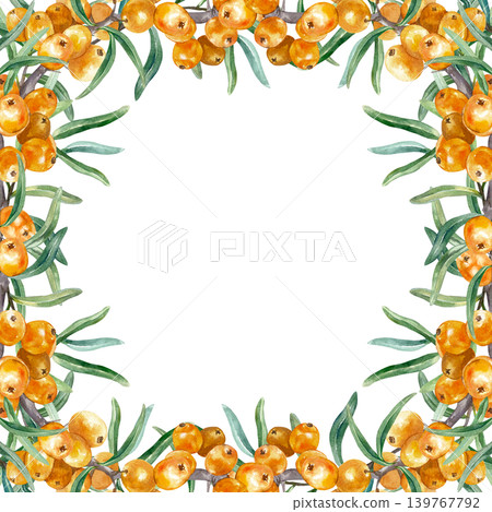 Sea buckthorn branch, square frame with ripe orange berries and green leaves. Hand drawn botanical watercolor illustration, isolated. Suitable for cosmetics, tea, and juice label design. Sea buckthorn branch, square frame with ripe orange berries and green leaves. Hand drawn botanical watercolor illustration, isolated. Suitable for cosmetics, tea, and juice label design. 139767792