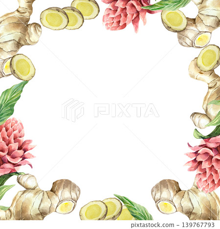 Ginger root square frame with slices, green leaves and flowers. Hand drawn watercolor illustration, isolated. Asian natural spicy ingredient for label design, cosmetics and medicine. Ginger root square frame with slices, green leaves and flowers. Hand drawn watercolor illustration, isolated. Asian natural spicy ingredient for label design, cosmetics and medicine. 139767793