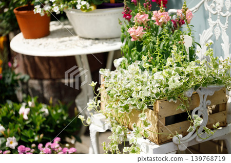 Outdoor Flower Garden Display with Potted Plants and Blooming Spring Flowers Outdoor Flower Garden Display with Potted Plants and Blooming Spring Flowers 139768719
