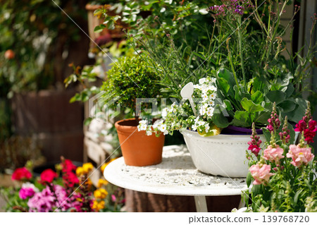 Outdoor Flower Garden Display with Potted Plants and Blooming Spring Flowers Outdoor Flower Garden Display with Potted Plants and Blooming Spring Flowers 139768720
