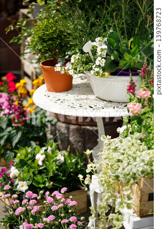 Outdoor Flower Garden Display with Potted Plants and Blooming Spring Flowers Outdoor Flower Garden Display with Potted Plants and Blooming Spring Flowers 139768723