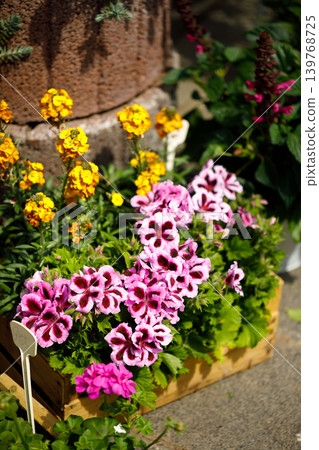 Outdoor Flower Garden Display with Potted Plants and Blooming Spring Flowers Outdoor Flower Garden Display with Potted Plants and Blooming Spring Flowers 139768725