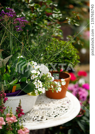 Outdoor Flower Garden Display with Potted Plants and Blooming Spring Flowers Outdoor Flower Garden Display with Potted Plants and Blooming Spring Flowers 139768740