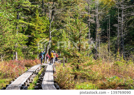 Autumn in Kamikochi: "Azusa River Right Bank Trail and Gakusawa Marshland" (Matsumoto City, Nagano Prefecture) Autumn in Kamikochi: "Azusa River Right Bank Trail and Gakusawa Marshland" (Matsumoto City, Nagano Prefecture) 139769090