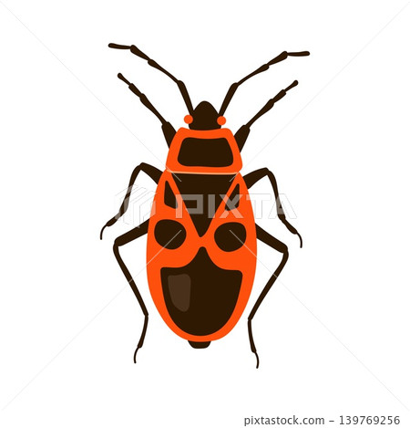 Red firebug insect with black pattern vector illustration isolated on white background 139769256