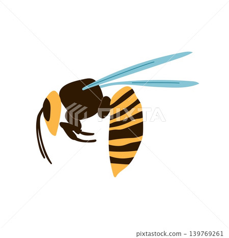 Wasp or hornet insect side view vector illustration isolated on white background Wasp or hornet insect side view vector illustration isolated on white background 139769261