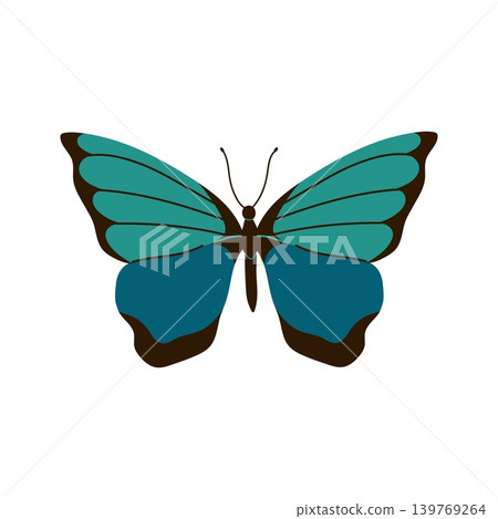 Beautiful turquoise and blue butterfly vector illustration isolated on white background Beautiful turquoise and blue butterfly vector illustration isolated on white background 139769264