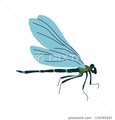 Blue dragonfly insect side view vector illustration isolated on white background Blue dragonfly insect side view vector illustration isolated on white background 139769267