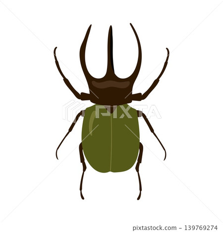 Rhinoceros beetle with big horns and green body vector illustration isolated on white background Rhinoceros beetle with big horns and green body vector illustration isolated on white background 139769274