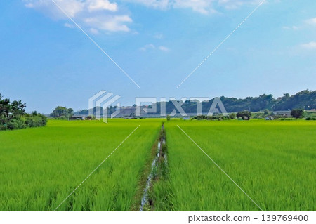 高速公路沿線的鄉村景色 139769400