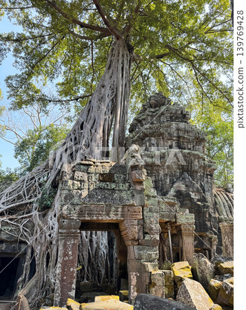 The ruins and trees of Ta Prohm in the Angkor archaeological complex, January 2026. The ruins and trees of Ta Prohm in the Angkor archaeological complex, January 2026. 139769428