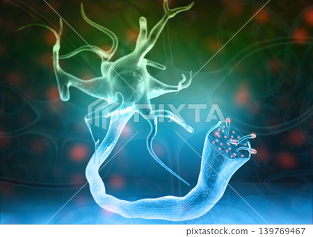 Neurons and nervous system on science background Neurons and nervous system on science background 139769467