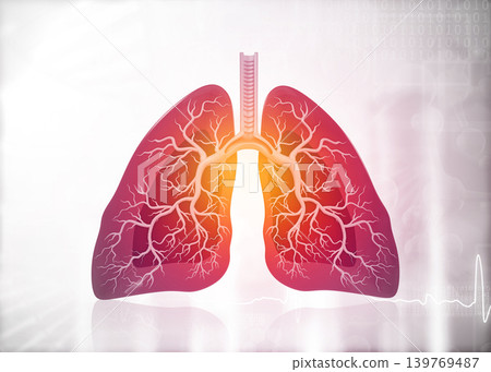 Anatomy of human lungs 139769487