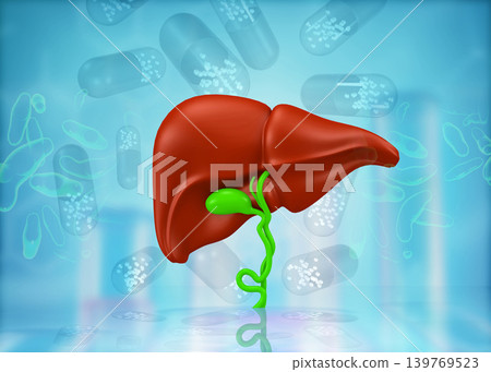 Human liver anatomy on science background 139769523