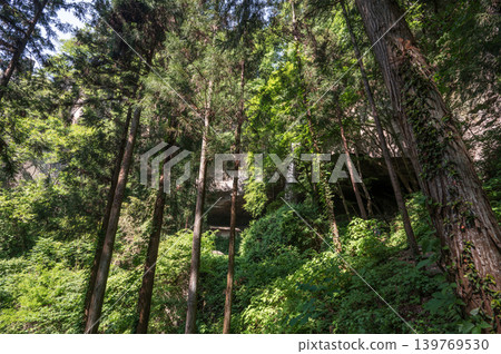 A landscape of a waterfall flowing deep in a forest and a cliff face. 139769530