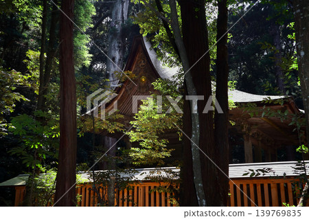 浪漫的茨城（鹿島神社神聖的內殿，神力充沛。神樹並肩而立。）鹿島神社“令和時代大修” 139769835