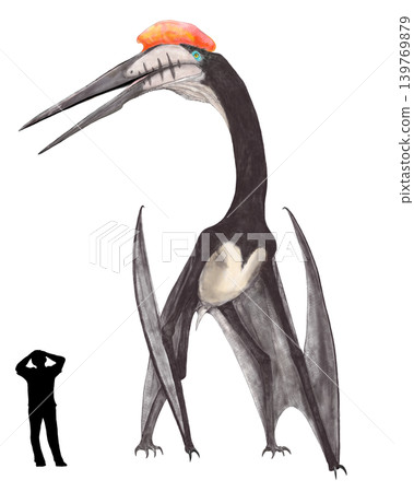 Pterosaurs: Hatzegopteryx, one of the largest pterosaurs with a wingspan of 12m. Pterosaurs: Hatzegopteryx, one of the largest pterosaurs with a wingspan of 12m. 139769879