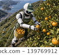 一個人形機器人正在橘子園裡採摘橘子。 139769912