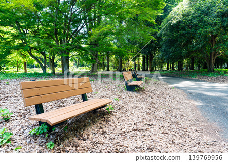 東京調布市深大寺北町深大植物園空地上的長椅 139769956