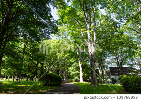 Jindai Botanical Garden, Free Space: A stroll through a tunnel of trees, Jindaiji Kitamachi, Chofu City, Tokyo Jindai Botanical Garden, Free Space: A stroll through a tunnel of trees, Jindaiji Kitamachi, Chofu City, Tokyo 139769959