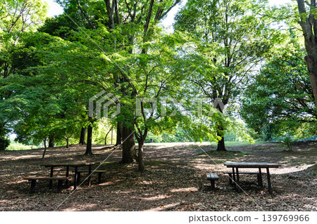 Jindai Botanical Garden, Free Space, Table and Chairs, Jindaiji Kitamachi, Chofu City, Tokyo Jindai Botanical Garden, Free Space, Table and Chairs, Jindaiji Kitamachi, Chofu City, Tokyo 139769966