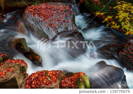 禦溪峽谷：秋色染紅的山澗（4） - 岡山縣總社市 139770079