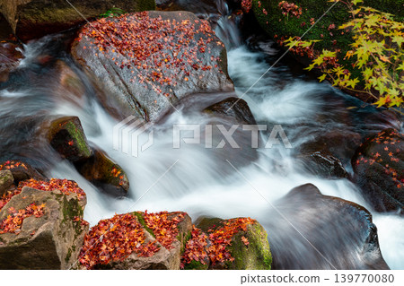 五溪峽谷：秋色染紅的山澗（5） - 岡山縣總社市 139770080