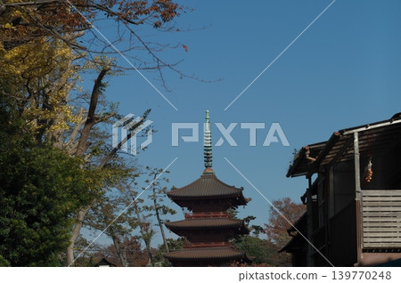 漫步市川市 139770248