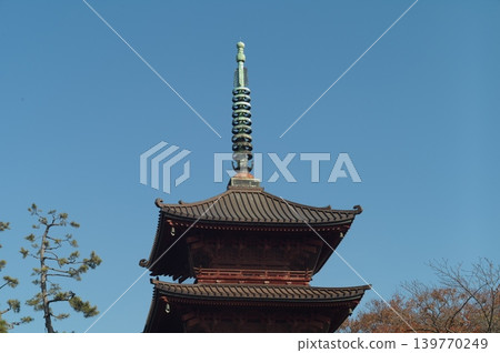 漫步市川市 139770249