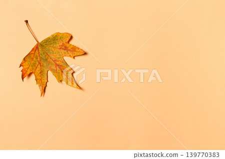 Beautiful autumn maple leaf on a yellow pastel background. Autumn colors. Minimal. Beautiful autumn maple leaf on a yellow pastel background. Autumn colors. Minimal. 139770383