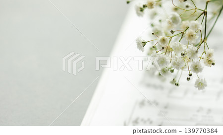 Romantic Tender background with Baby s Breath Flowers on Sheet Music Backdrop Romantic Tender background with Baby s Breath Flowers on Sheet Music Backdrop 139770384