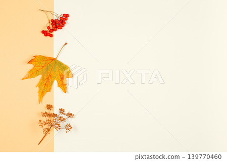 Autumn background with yellow maple leaf and rowan berries. Yellow pastel background. Autumn background with yellow maple leaf and rowan berries. Yellow pastel background. 139770460