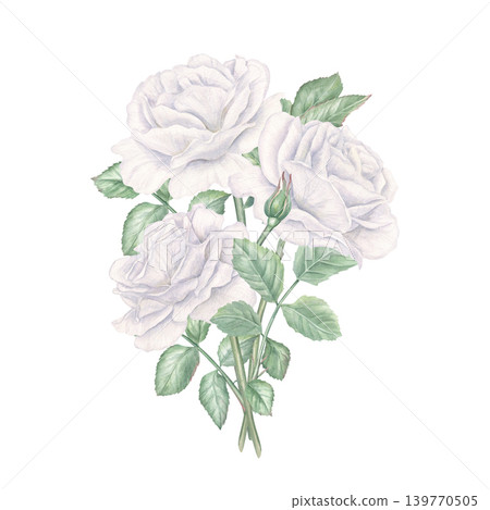 White rose flower bouquet painted with watercolor. Floral composition of decorative garden plants. Romantic illustration for wedding invitation or greeting card design. 139770505