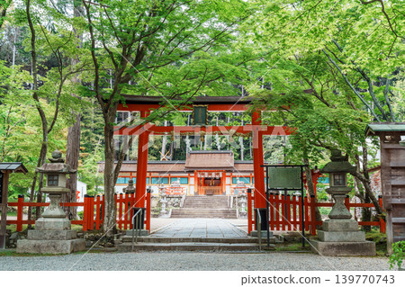 The approach to Oharano Shrine, covered in fresh greenery. The approach to Oharano Shrine, covered in fresh greenery. 139770743