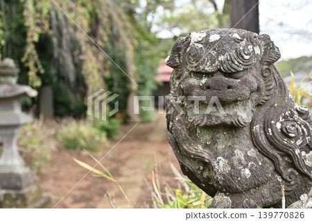 A Walk Through Iwatsuki: Jūniten Shrine - Approach to the Shrine / Shrine Building A Walk Through Iwatsuki: Jūniten Shrine - Approach to the Shrine / Shrine Building 139770826