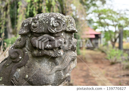 A Walk Through Iwatsuki: Jūniten Shrine - Approach to the Shrine / Shrine Building A Walk Through Iwatsuki: Jūniten Shrine - Approach to the Shrine / Shrine Building 139770827