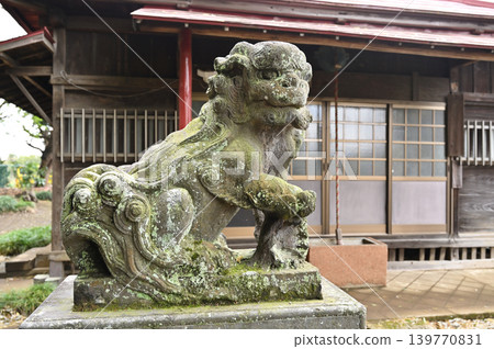 A Walk Around Iwatsuki: Twelve Deities Shrine - Shrine Building / Guardian Dogs A Walk Around Iwatsuki: Twelve Deities Shrine - Shrine Building / Guardian Dogs 139770831