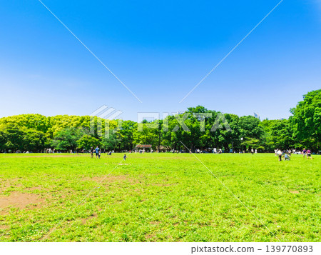 新鮮的綠色代代木公園 新鮮的綠色代代木公園 139770893