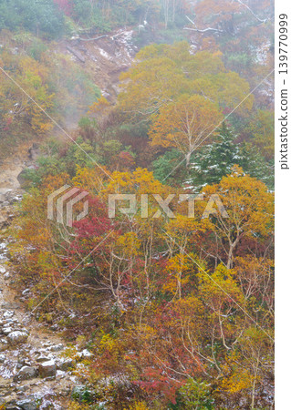 十勝岳溫泉：秋日薄霧繚繞，點綴初雪和秋葉，宛如夢幻般的景象。 139770999