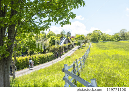 Hiruzen Plateau in the fresh green and early summer Hiruzen Plateau in the fresh green and early summer 139771108
