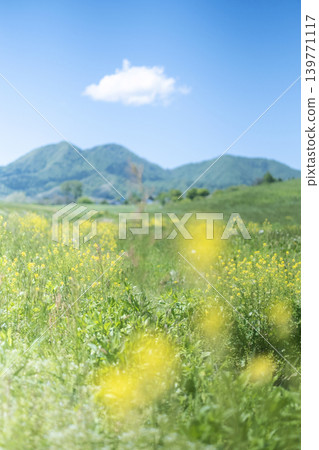 Hiruzen Plateau in the fresh green and early summer 139771117