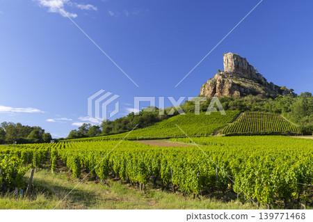 Rock of Solutre with vineyards, Burgundy, Solutre-Pouilly, France 139771468