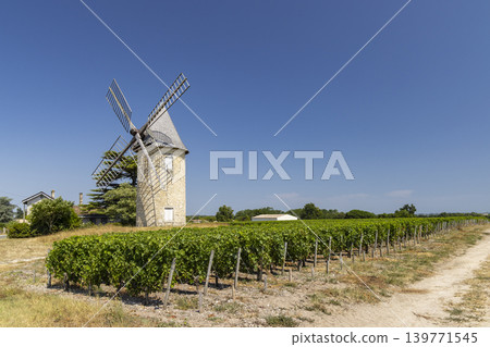 Windmill with vineyard near Montagne, Saint-Emilion wine region, departement Gironde, France Windmill with vineyard near Montagne, Saint-Emilion wine region, departement Gironde, France 139771545