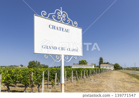 Typical vineyards with information board Grand Cru Classe near Saint-Emilion, Bordeaux, Aquitaine, France 139771547
