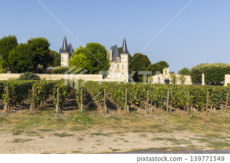 Typical vineyards near Chateau Pichon Longueville Baron, Bordeaux, Aquitaine, France 139771549