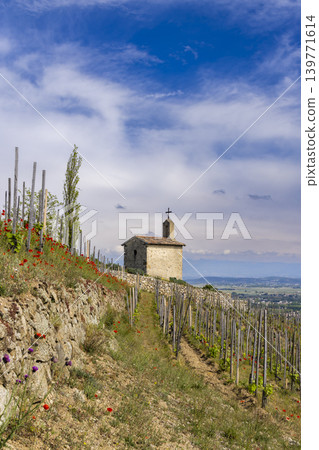 Grand cru vineyard and Chapel of Saint Christopher, Tain l'Hermitage, Rhone-Alpes, France Grand cru vineyard and Chapel of Saint Christopher, Tain l'Hermitage, Rhone-Alpes, France 139771614